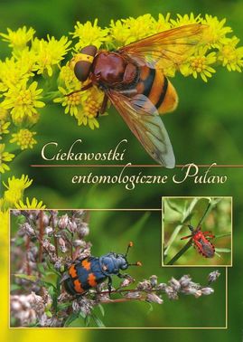 Ciekawostki entomologiczne Puław broszura.jpg
